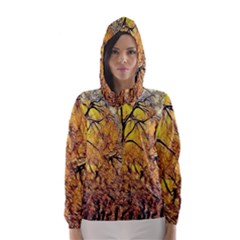 Summer Sun Set Fractal Forest Background Hooded Wind Breaker (women) by Amaryn4rt