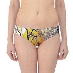 Summer Sun Set Fractal Forest Background Hipster Bikini Bottoms by Amaryn4rt