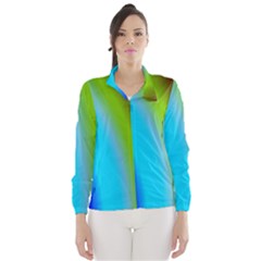 Multi Color Stones Wall Multi Radiant Wind Breaker (women) by Simbadda