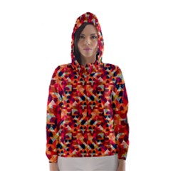 Modern Graphic Hooded Wind Breaker (women) by Alisyart