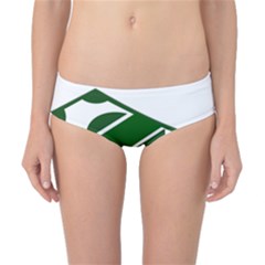 Rich Dollar Money Green Classic Bikini Bottoms by Alisyart