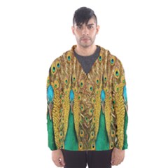 Peacock Bird Feathers Hooded Wind Breaker (men) by Simbadda