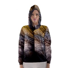 Tree Art Artistic Abstract Background Hooded Wind Breaker (women) by Nexatart