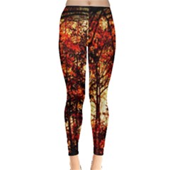 Forest Trees Abstract Leggings  by Nexatart