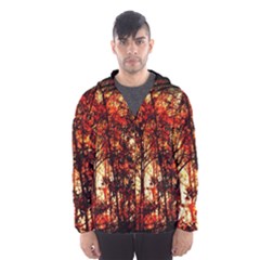 Forest Trees Abstract Hooded Wind Breaker (men) by Nexatart