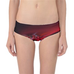 Red Fractal Valley In 3d Glass Frame Classic Bikini Bottoms by Nexatart