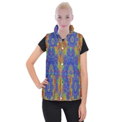 A Creative Colorful Backgroun Women s Button Up Puffer Vest by Nexatart