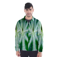 Green Leaf Macro Detail Wind Breaker (men) by Nexatart