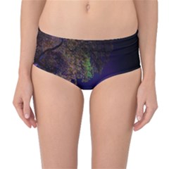 Illuminated Trees At Night Mid-waist Bikini Bottoms by Nexatart