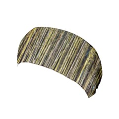 Bamboo Trees Background Yoga Headband