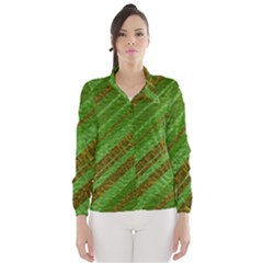 Stripes Course Texture Background Wind Breaker (women)