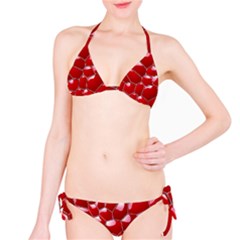 Plaid Iron Red Line Light Bikini Set by Mariart