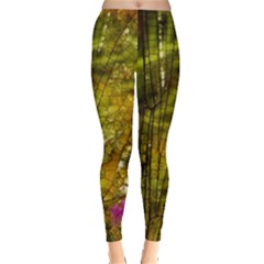 Dragonfly Dragonfly Wing Insect Leggings  by Nexatart