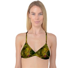 Dragonfly Dragonfly Wing Insect Reversible Tri Bikini Top by Nexatart