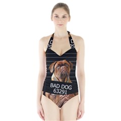 Bed Dog Halter Swimsuit by Valentinaart
