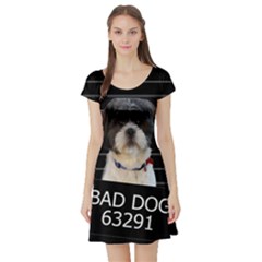 Bad Dog Short Sleeve Skater Dress by Valentinaart