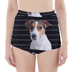 Bad Dog High-waisted Bikini Bottoms by Valentinaart