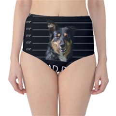 Bad Dog High-waist Bikini Bottoms by Valentinaart
