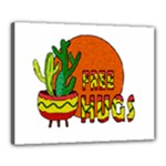 Cactus - free hugs Canvas 20  x 16 
