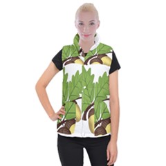 Acorn Hazelnuts Nature Forest Women s Button Up Puffer Vest by Nexatart