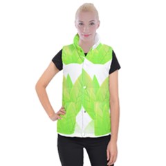 Leaves Green Nature Reflection Women s Button Up Puffer Vest by Nexatart