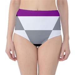 Aegosexual Autochorissexual Flag High-waist Bikini Bottoms by Mariart