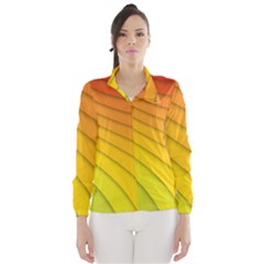 Abstract Pattern Lines Wave Wind Breaker (women) by Nexatart