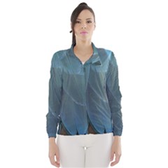 Feather Plumage Blue Parrot Wind Breaker (women) by Nexatart