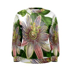 Passion Flower Flower Plant Blossom Women s Sweatshirt by Nexatart