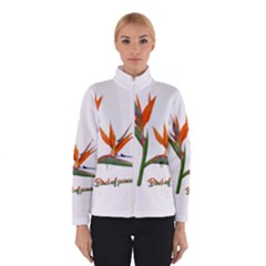 Bird Of Paradise Winterwear by Valentinaart