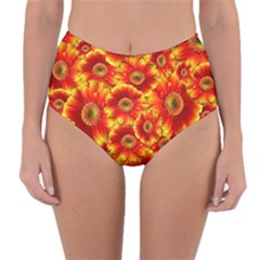 Gerbera Flowers Nature Plant Reversible High-waist Bikini Bottoms by Nexatart