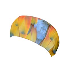 Spring Parrot Parrot Feathers Ara Yoga Headband by Nexatart