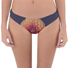 Art Beautiful Bloom Blossom Bright Reversible Hipster Bikini Bottoms by Nexatart