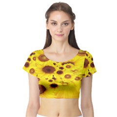 Beautiful Sunflowers Short Sleeve Crop Top (tight Fit) by BangZart