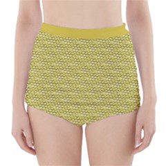 Golden Scales High-waisted Bikini Bottoms by Brini