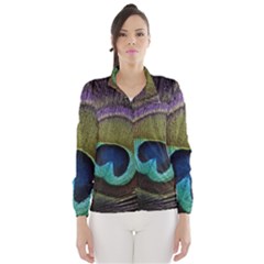 Peacock Feather Wind Breaker (women) by BangZart