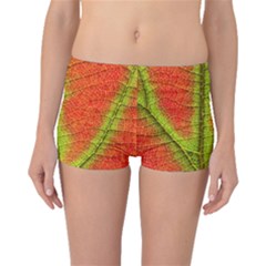 Nature Leaves Boyleg Bikini Bottoms by BangZart