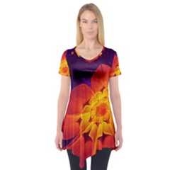 Royal Blue, Red, And Yellow Fractal Gerbera Daisy Short Sleeve Tunic  by jayaprime