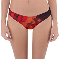 Cherry Blossom, Red Colors Reversible Hipster Bikini Bottoms by FantasyWorld7