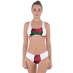 Watermelon Cat Criss Cross Bikini Set by Valentinaart