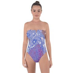 Histology Inc Histo Logistics Incorporated Human Liver Rhodanine Stain Copper Tie Back One Piece Swimsuit by Mariart