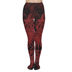 Tropical Pattern Women s Tights by ValentinaDesign