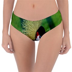 Bird Hairstyle Animals Sexy Beauty Reversible Classic Bikini Bottoms by Mariart