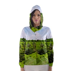 Bali Rice Terraces Landscape Rice Hooded Wind Breaker (women)