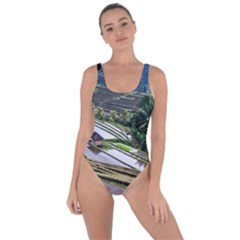 Rice Terrace Rice Fields Bring Sexy Back Swimsuit by Nexatart