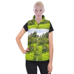 Rice Terrace Terraces Women s Button Up Puffer Vest by Nexatart