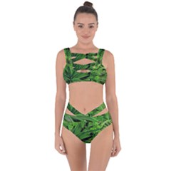 Vivid Tropical Design Bandaged Up Bikini Set 