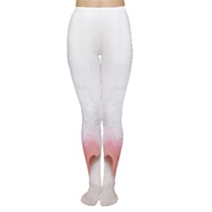 Beautiful White Face Cat Animals Blue Eye Women s Tights by Mariart