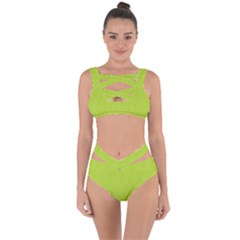 Line Green Bandaged Up Bikini Set  by Mariart