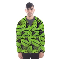 Nature Print Pattern Hooded Wind Breaker (men) by dflcprints